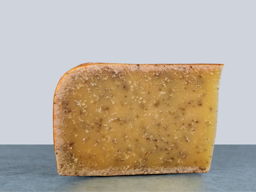 Slice of 2 year Aged Cumin Gouda cheese with cumin seeds