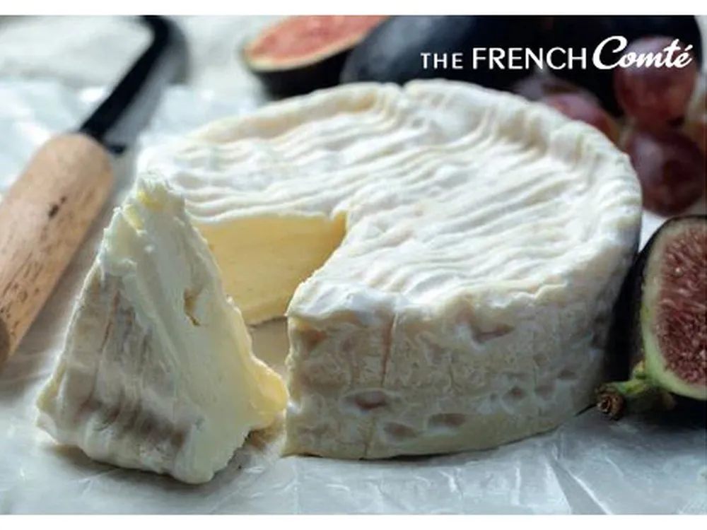 Camembert