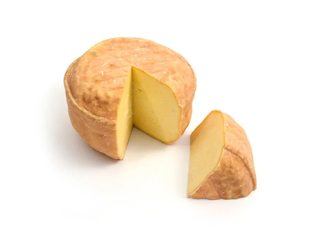 A slice and a small disc of Celtic Promise, both showcase orange rind and soft, yellow interior, set against a white background