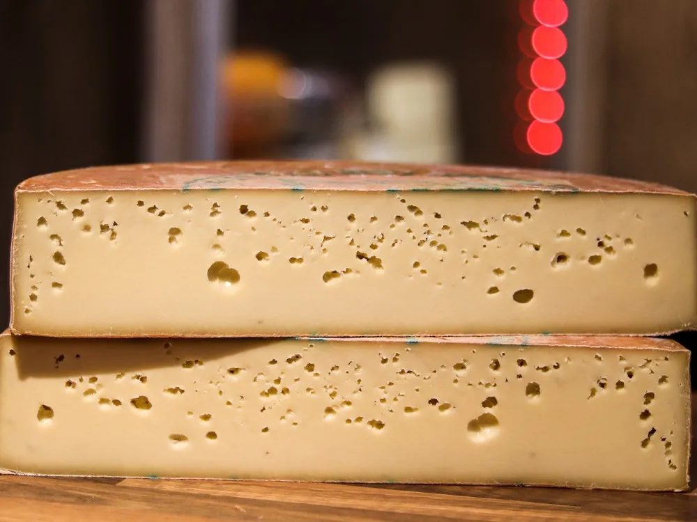 A Fontina Val D'Aosta cheese wheel, cut in half and stacked, showing its pale cream interior with distinctive "eyes"