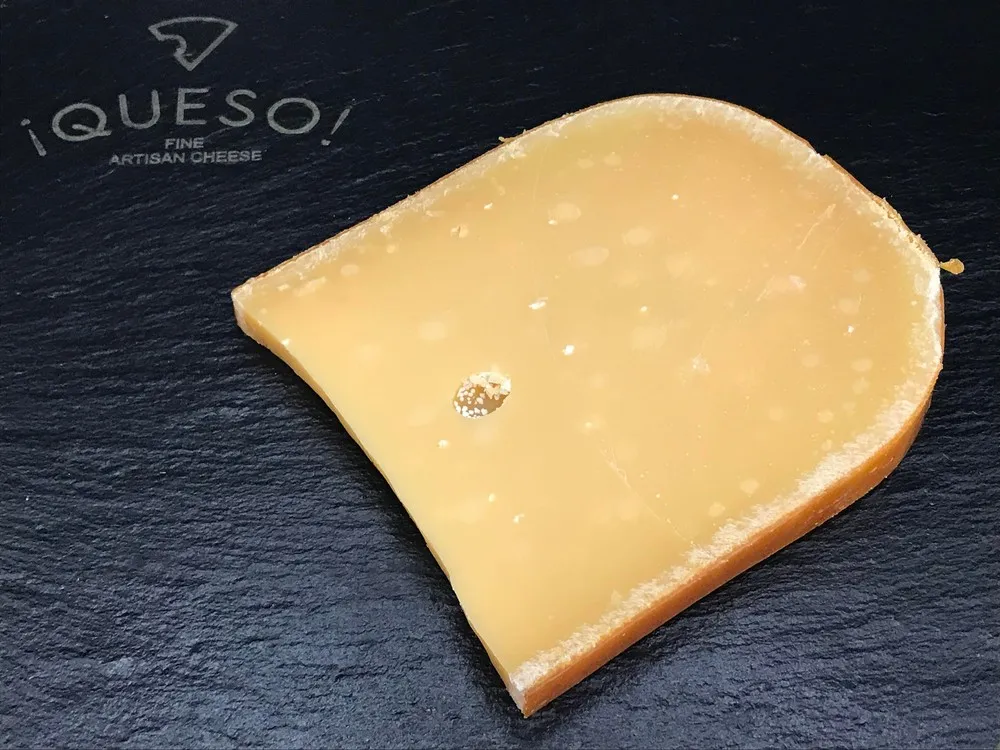 Gouda