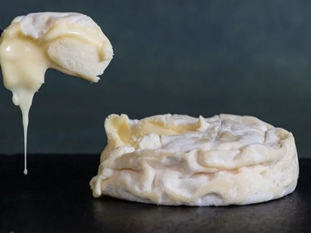 A small disc and slice of St. Jude cheese reveal its gooey, soft interior and delicate, wrinkled, mold-ripened rind, all displayed on a black surface