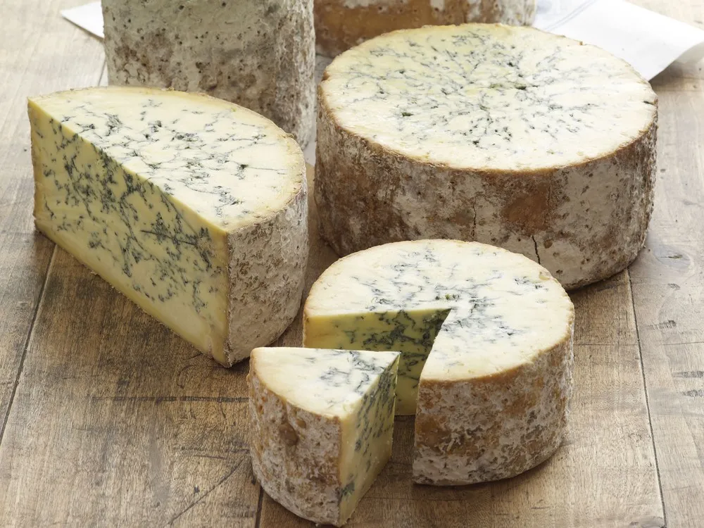 Wheels and wedges of stilton blue cheese on a wooden surface. The cheese wheels have a rough, natural rind, and the interior is creamy yellow with characteristic blue veins of mold running through it.