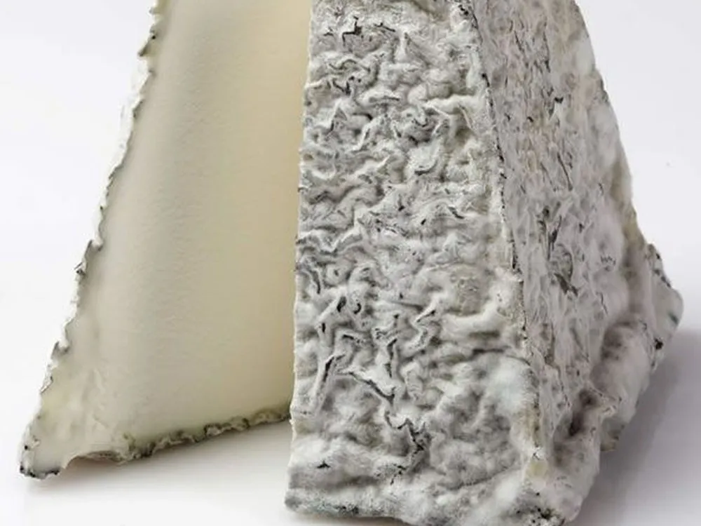 A pyramid-shaped Valençay cheese with a flattened top, revealing a rustic blue-grey rind and a soft, creamy interior, set against a white background