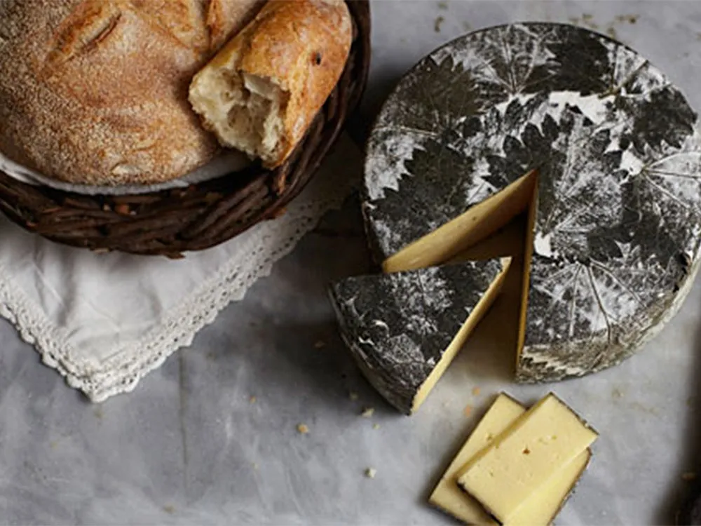 A slice of Cornish Yarg, wrapped in nettles, pops out from the cheese disc, arranged on a table with sourdough bread and additional cheese slices