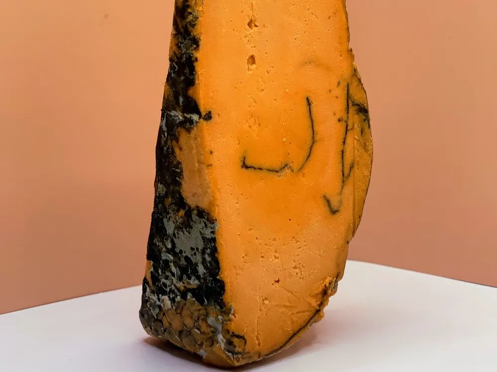 A piece of vegan Balham Blue cheese, showcasing a mold-ripened rind and an orange interior marbled with blue veins, rests on a white surface