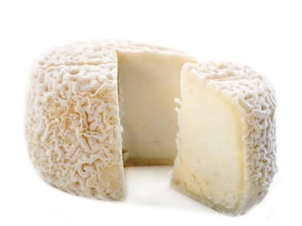 A partially cut Crottin de Champcol cheese showcasing its soft interior and thin, white bloomy rind, set against a white background