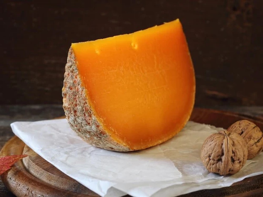 A piece of cheese with an orange interior and a light brown rind with small holes, standing vertically on its rind with the interior facing up. The cheese is on a piece of white paper, placed on two wooden boards. Two walnuts are next to the cheese.