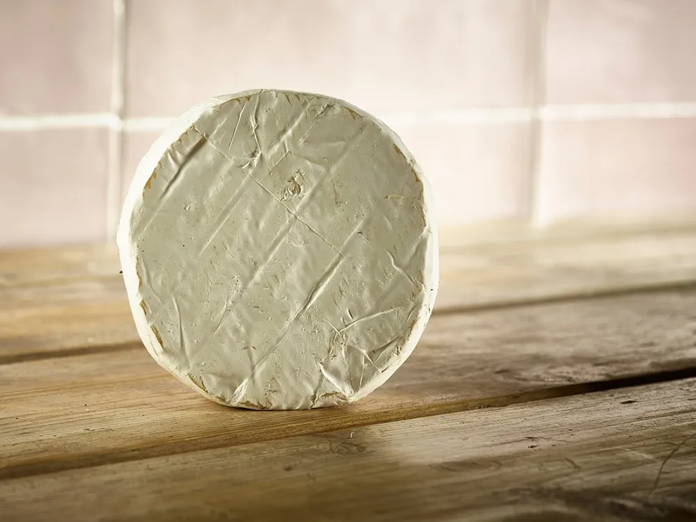 A small disc of Perl Wen cheese, featuring a bloomy white rind, stands prominently on a wooden surface