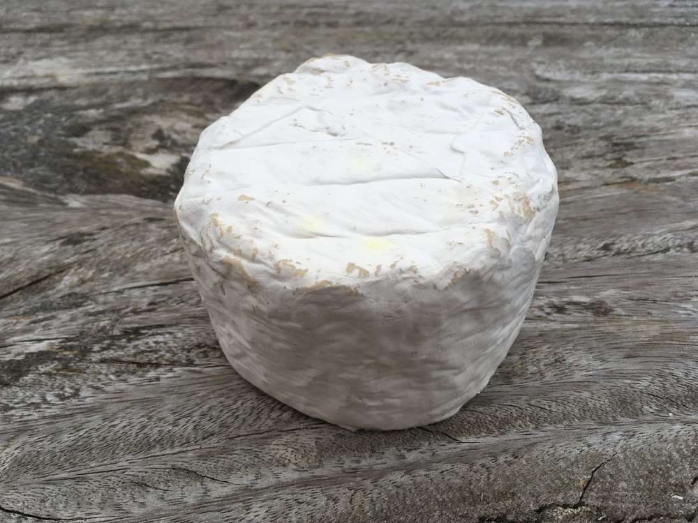 A round-shaped White Nancy cheese with a creamy white bloomy rind sits on a wooden surface