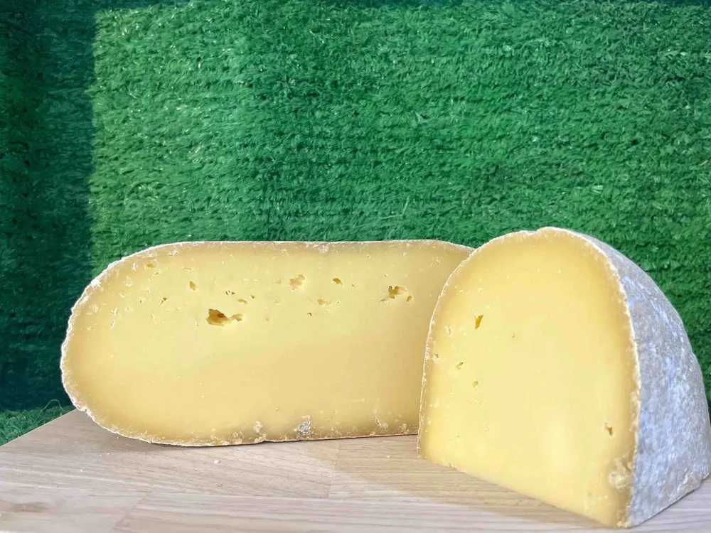 Wyfe of Bath Cheese