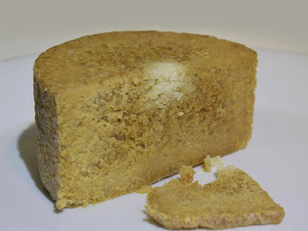 A large portion of Gammelost cheese highlighting its  golden-brown grainy texture, rests on a white surface