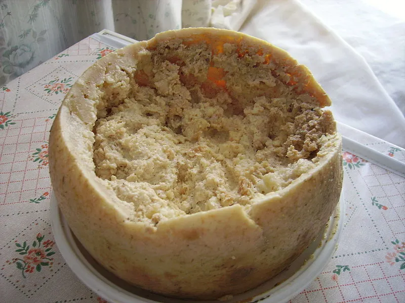 Casu marzu, a controversial Sardinian cheese, showing live insect larvae (maggots) on a white plate on a table