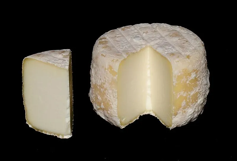 Crottin de Chavignol