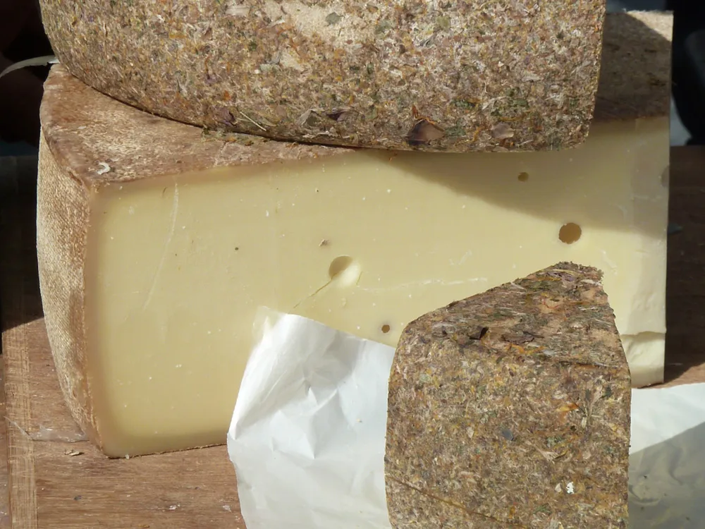 Fromage de Montagne de Savoie