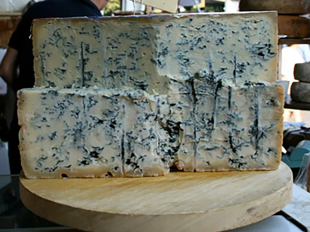 A wheel of Gorgonzola cheese, cut in half and stacked to show its pale cream interior with blue veins throughout, rests on a wooden surface