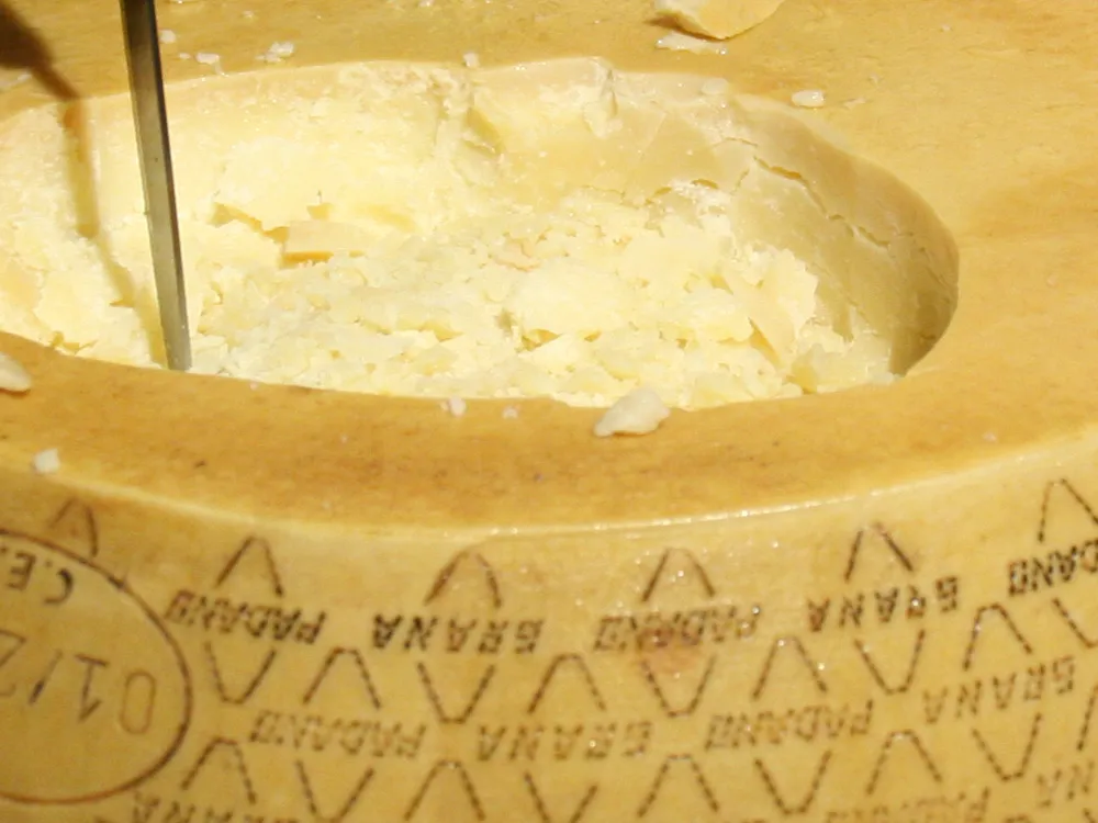 A wheel of Grana Padano cheese, carved with a knife to reveal its granular texture and pale yellow interior