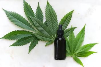 Thumbnail for CBD Products: 4 Things You Should Know About Them
